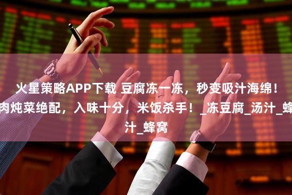 火星策略APP下载 豆腐冻一冻，秒变吸汁海绵！炖肉炖菜绝配，入味十分，米饭杀手！_冻豆腐_汤汁_蜂窝