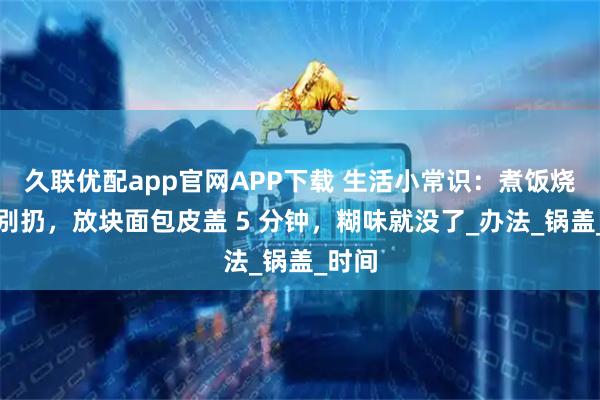 久联优配app官网APP下载 生活小常识：煮饭烧焦了别扔，放块面包皮盖 5 分钟，糊味就没了_办法_锅盖_时间
