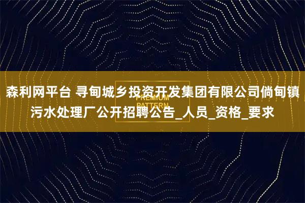 森利网平台 寻甸城乡投资开发集团有限公司倘甸镇污水处理厂公开招聘公告_人员_资格_要求