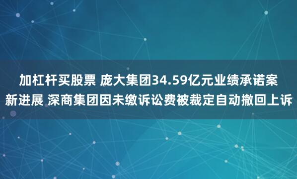 加杠杆买股票 庞大集团34.59亿元业绩承诺案新进展 深商集团因未缴诉讼费被裁定自动撤回上诉