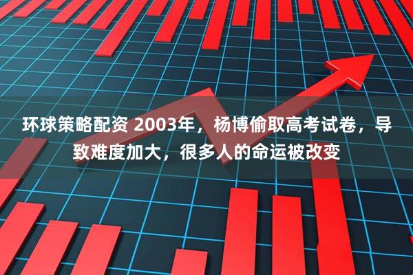 环球策略配资 2003年，杨博偷取高考试卷，导致难度加大，很多人的命运被改变