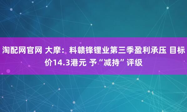 淘配网官网 大摩：料赣锋锂业第三季盈利承压 目标价14.3港元 予“减持”评级